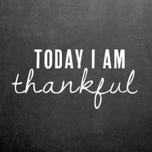 Meet your Posher, Judy